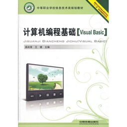 Visual Basic 编程入门指南