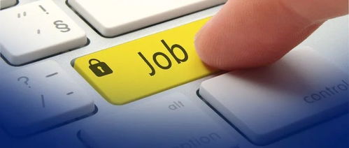 自学编程与科班出身差异何在？网友直呼“说到心坎里”